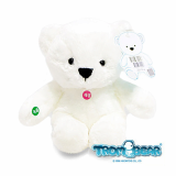 Recordable White Teddy bear